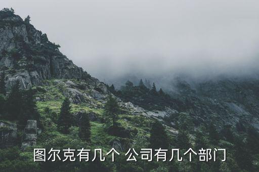 图尔克有几个 公司有几个部门