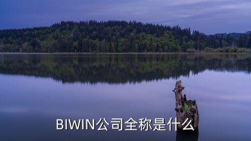 biwin公司全称是什么