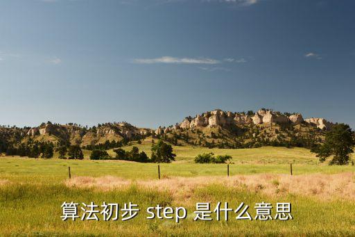 step，算法初步 step 是什么意思