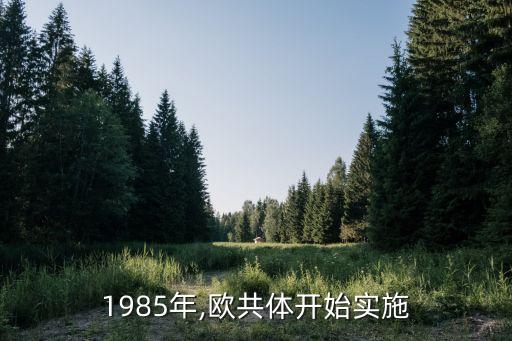 1985年,欧共体开始实施