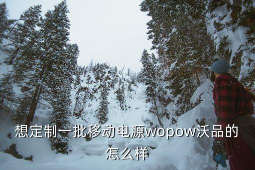 想定制一批移动电源wopow沃品的怎么样