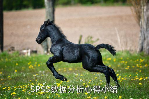 spss数据分析心得小结