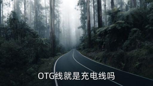 otg线就是充电线吗