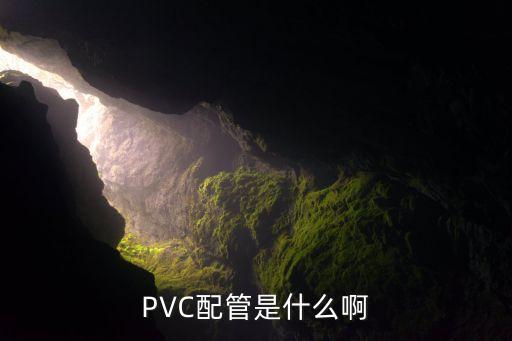 pvc配管是什么啊