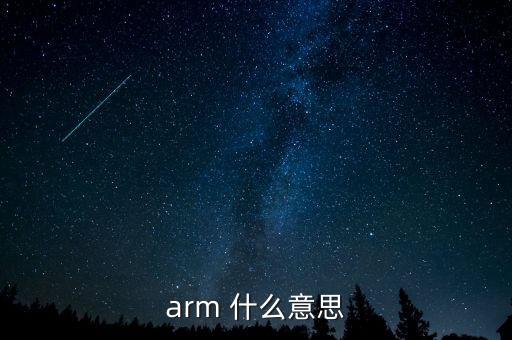 arm 什么意思