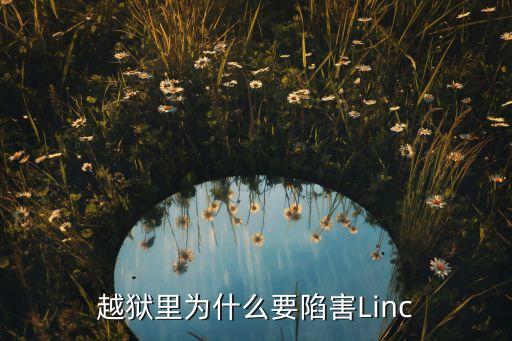 越狱里为什么要陷害linc