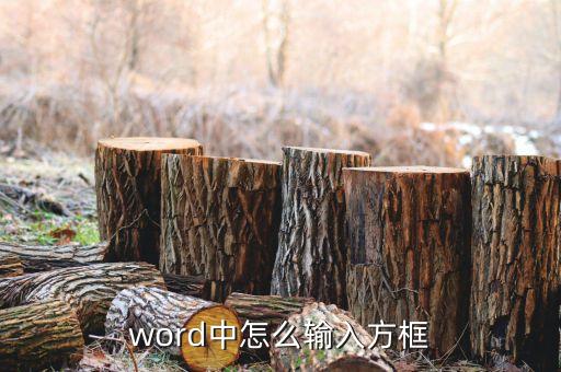 word中怎么输入方框