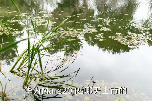 华为mare20 rs哪天上市的