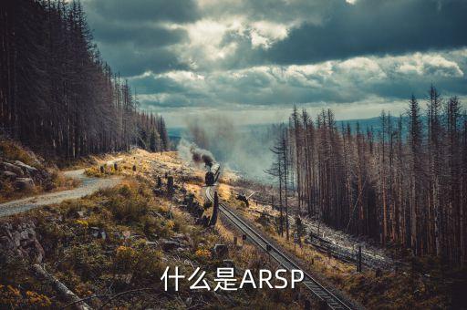 什么是arsp