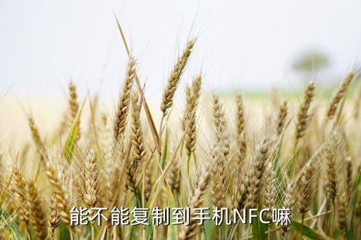 能不能复制到手机nfc嘛