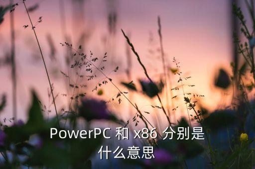 powerpc 和 x86 分别是什么意思