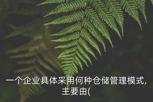 一个企业具体采用何种仓储管理模式,主要由(