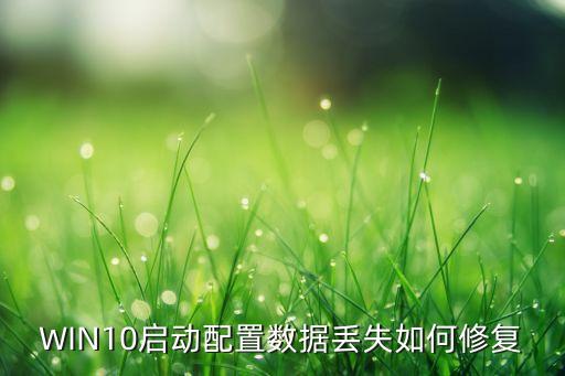 win10启动配置数据丢失如何修复