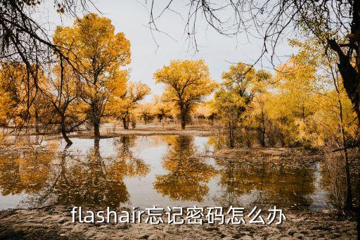 flashair忘记密码怎么办