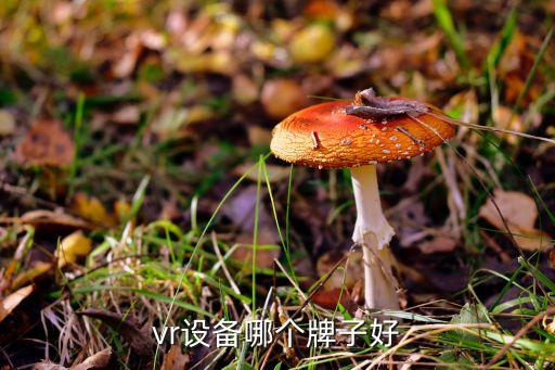 vr设备哪个牌子好