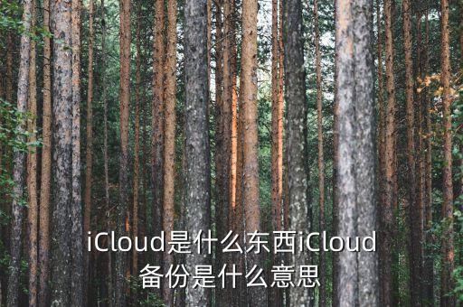 icloud是什么东西icloud备份是什么意思