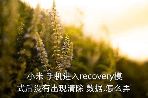  小米 手机进入recovery模式后没有出现清除 数据,怎么弄