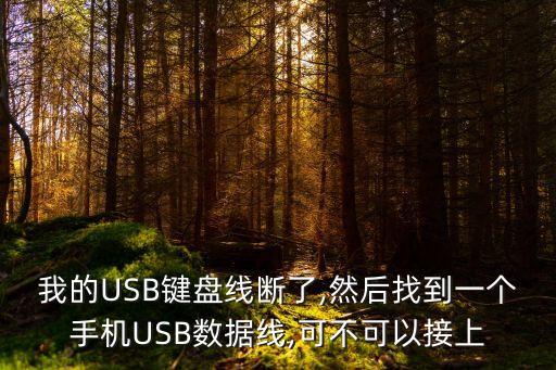 我的usb键盘线断了,然后找到一个手机usb数据线,可不可以接上