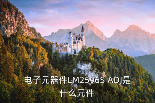 lm2596s，lm2596s50是芯片还是二极管