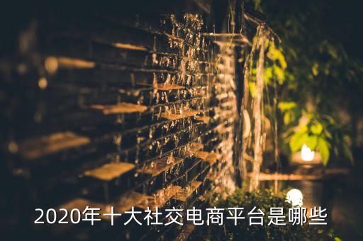 2020年十大社交电商平台是哪些