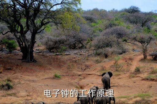 电子时钟，电子时钟原理