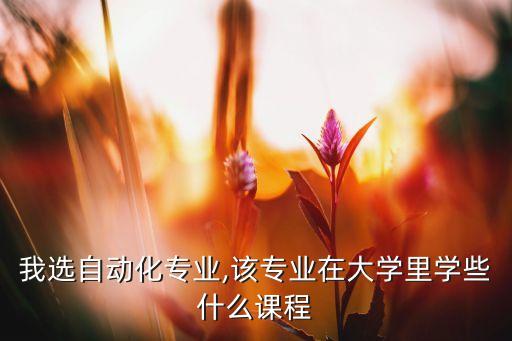 我选自动化专业,该专业在大学里学些什么课程