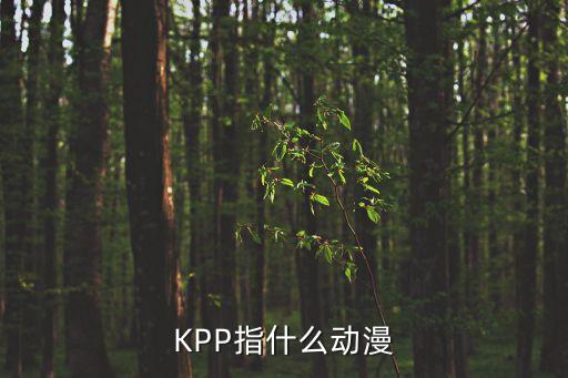 kpp指什么动漫