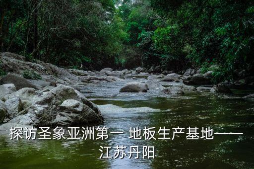 探访圣象亚洲第一 地板生产基地——江苏丹阳