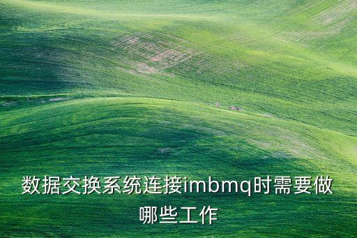 数据交换系统连接imbmq时需要做哪些工作