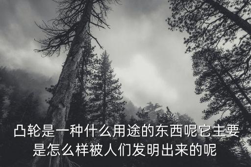  凸轮是一种什么用途的东西呢它主要是怎么样被人们发明出来的呢