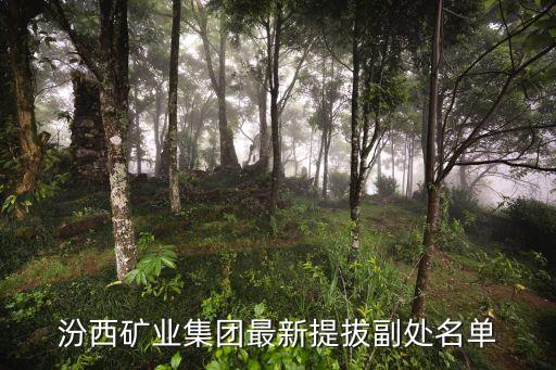 张秋明，汾西矿业集团最新提拔副处名单