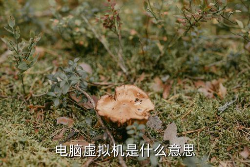 电脑虚拟机是什么意思