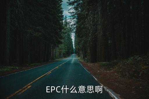 epc什么意思啊