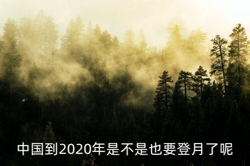 中国到2020年是不是也要登月了呢