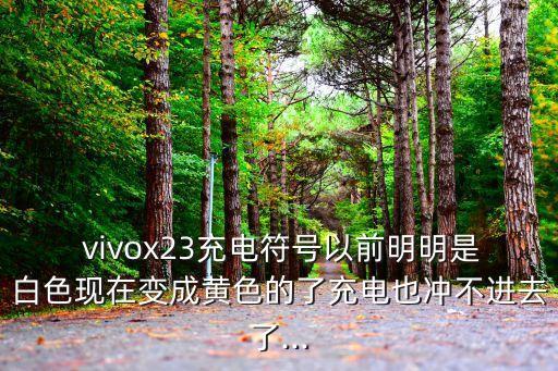  vivox23充电符号以前明明是白色现在变成黄色的了充电也冲不进去了...