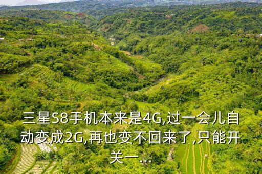 三星s8手机本来是4g,过一会儿自动变成2g,再也变不回来了,只能开关一...