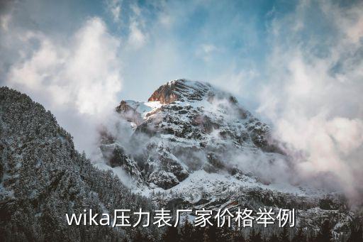 wika压力表厂家价格举例