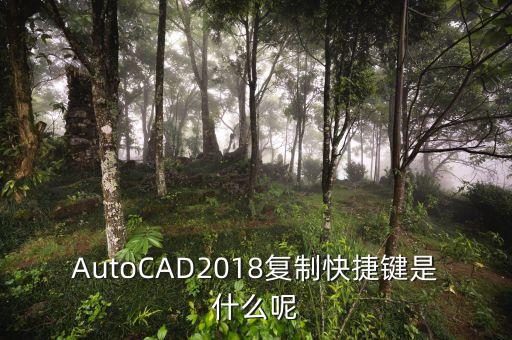 autocad2018复制快捷键是什么呢