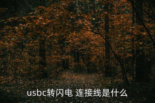 usbc转闪电 连接线是什么