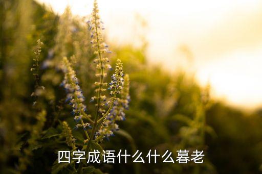 四字成语什么什么暮老