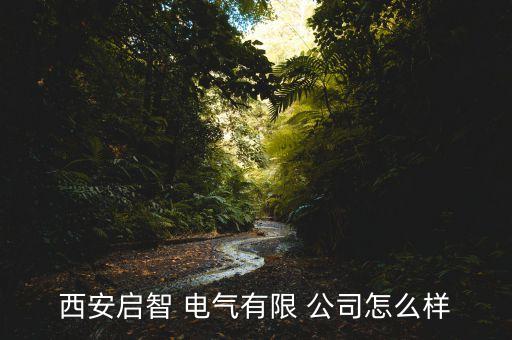 西安启智 电气有限 公司怎么样