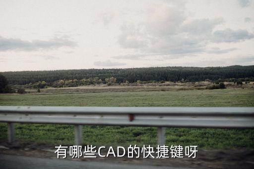 有哪些cad的快捷键呀