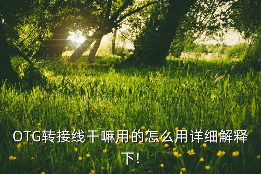 otg转接线干嘛用的怎么用详细解释下!