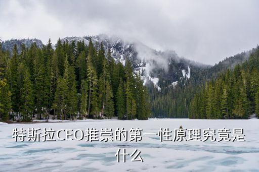 特斯拉ceo推崇的第一性原理究竟是什么