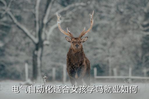 电气自动化适合女孩学吗就业如何