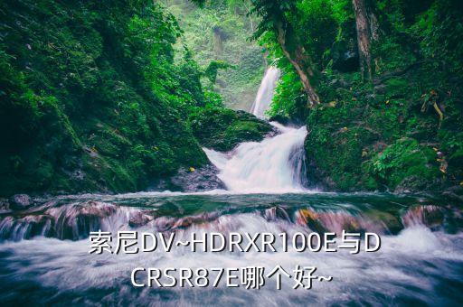  索尼dv~hdrxr100e与dcrsr87e哪个好~