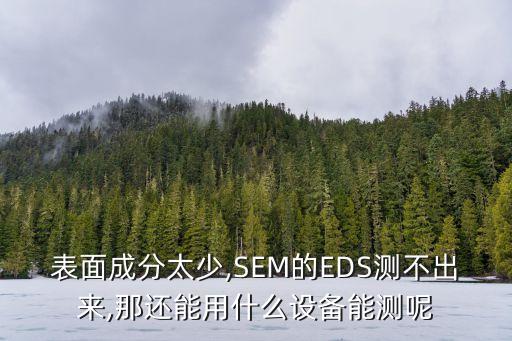 表面成分太少,sem的eds测不出来,那还能用什么设备能测呢