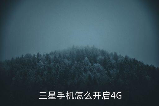 三星4g 3g数据设置应用