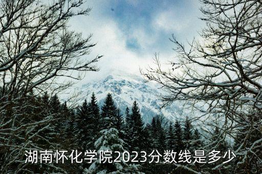 湖南怀化学院2023分数线是多少