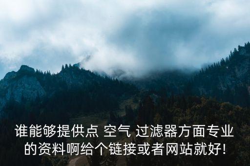 谁能够提供点 空气 过滤器方面专业的资料啊给个链接或者网站就好!